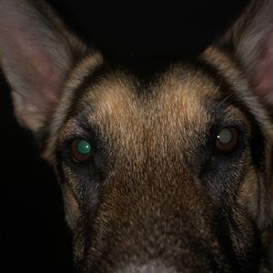 Meet your Posher, Laurie